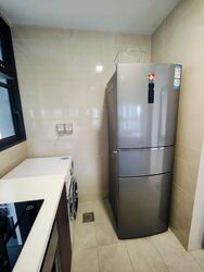 Symphony Suites (D27), Condominium #496162661